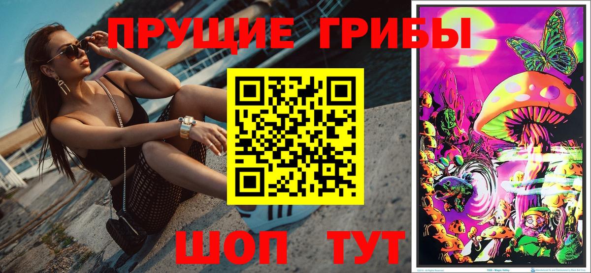 Баксан  Галлюциногенные грибы ЛСД  Вход с VPN 