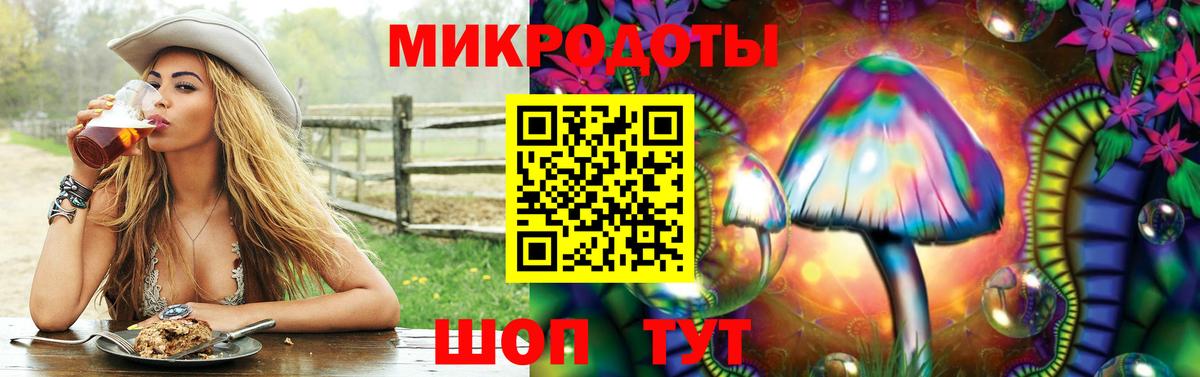 Галлюциногенные грибы Psilocybe Баксан